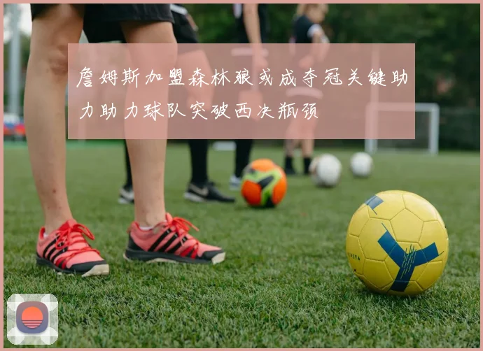 詹姆斯加盟森林狼或成夺冠关键助力助力球队突破西决瓶颈